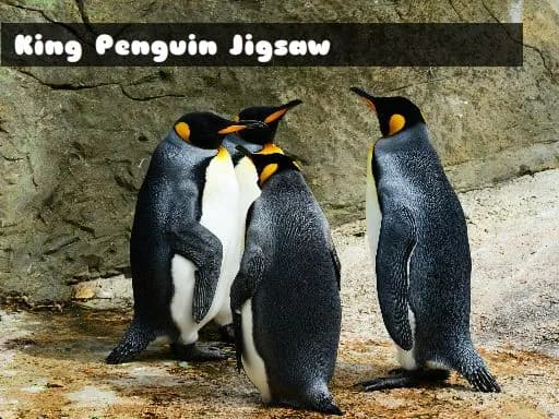 Kral Penguin Yapbozu