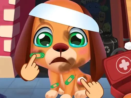 Sokak Köpeği Bakımı