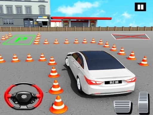 Balık Park Etme 3D