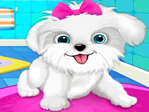 Yavru Köpek: Evcil Hayvan Salonu & Köpek Bakım Evi